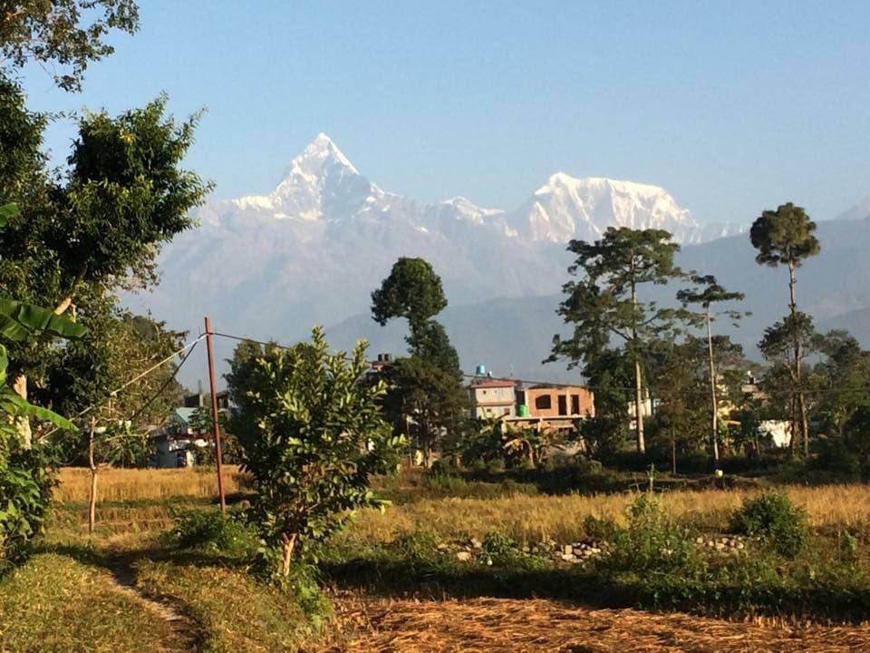 Global Agritourism Pvt.Ltd