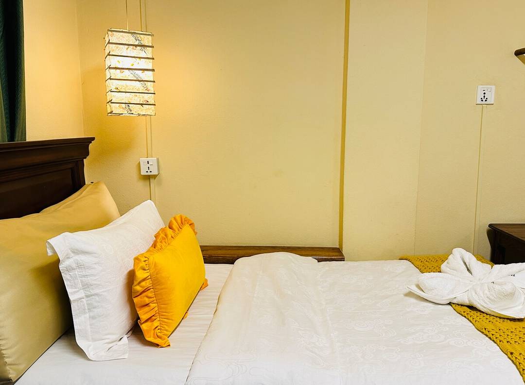 Hotel Darwin near thamel twin room  rooftop garden — photo