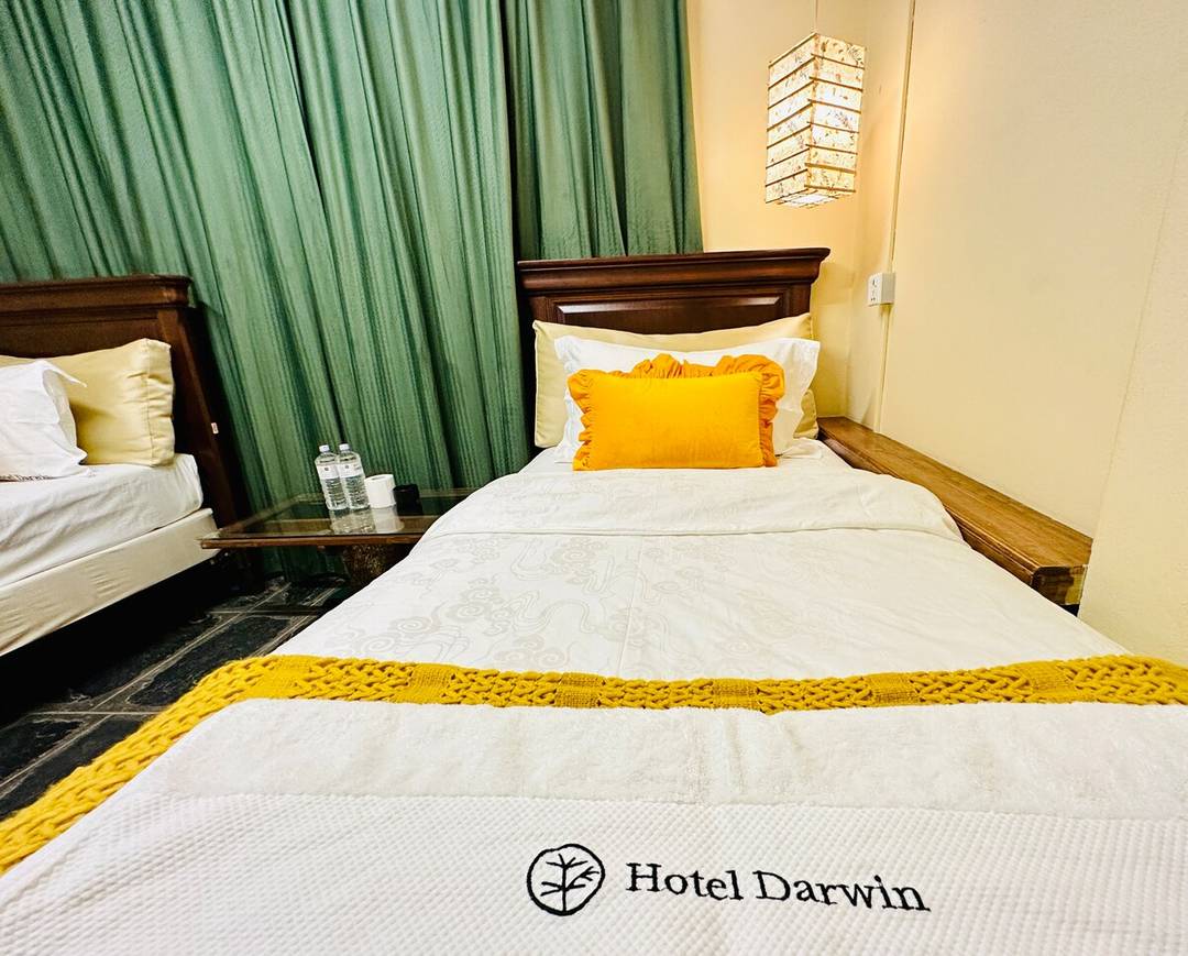 Hotel Darwin near thamel twin room  rooftop garden — photo
