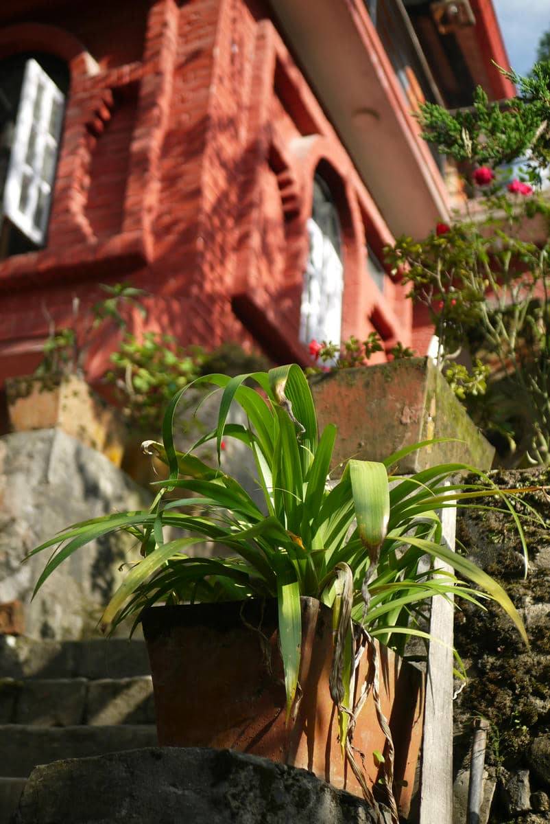 Peaceful Retreat in Dhulikhel - Innate Pension — photo