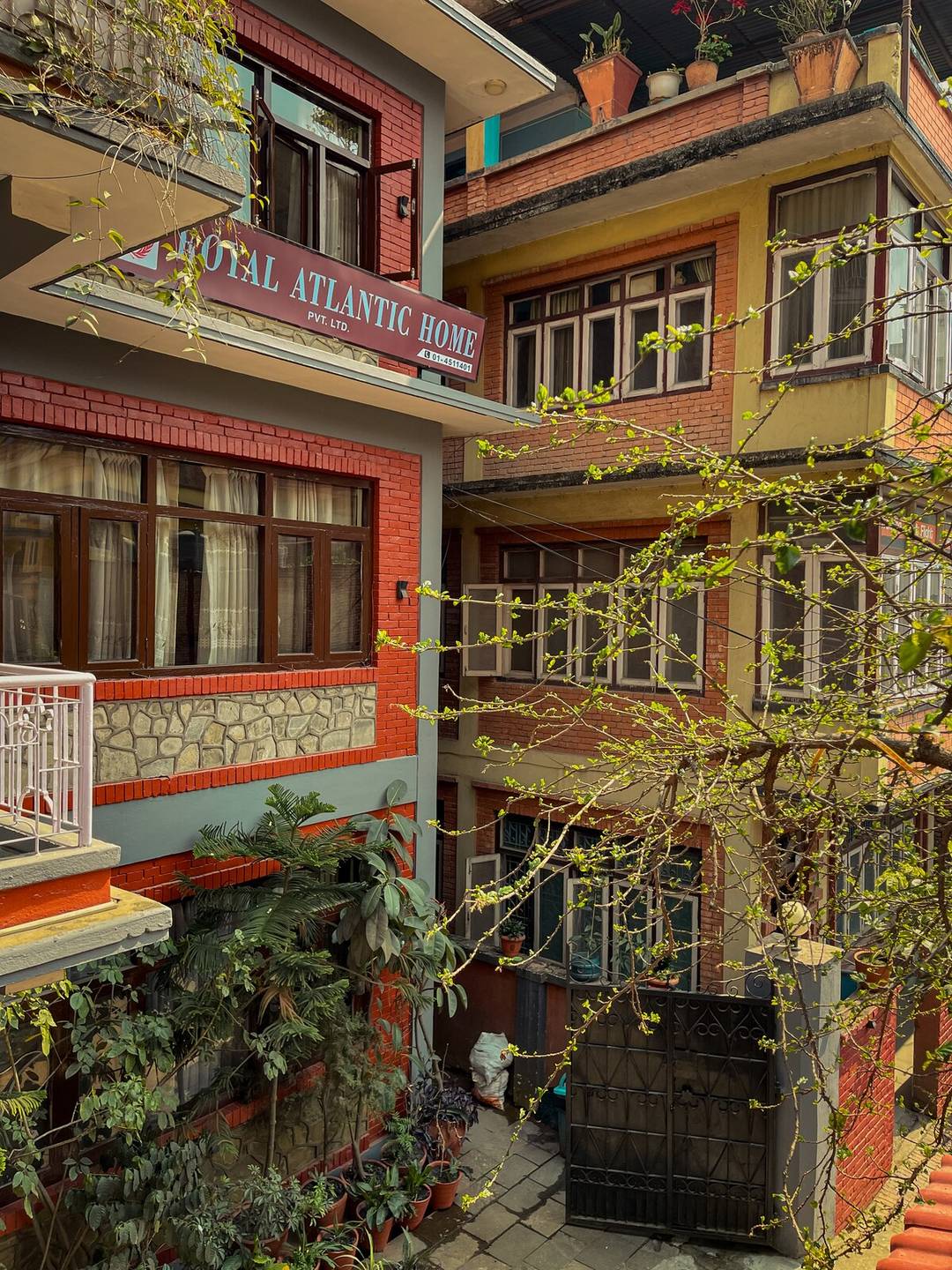 Royal Atlantic Home — photo