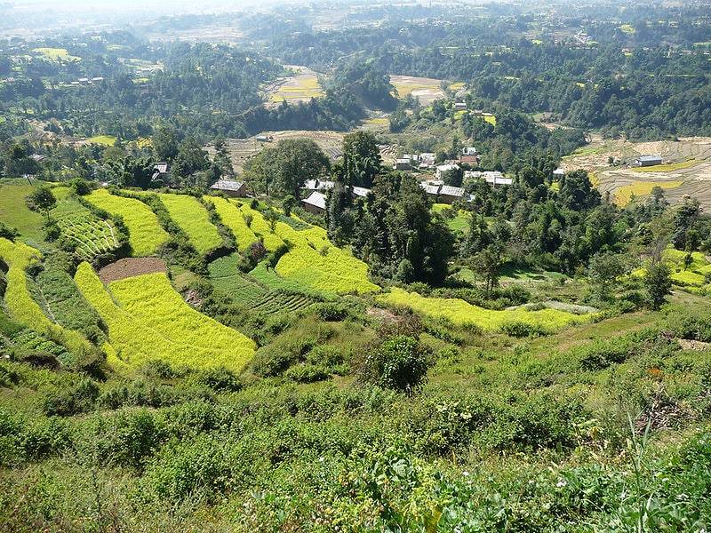 Village Homestay near Bhaktapur — photo