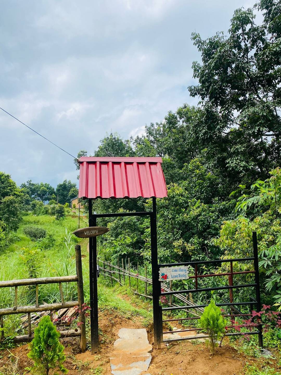 Disconnect from the city and reconnect with nature — photo