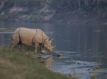 Ghumtee Riviera Resort Bharatpur Chitwan — photo