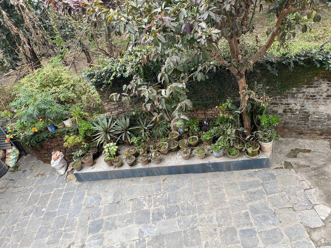 Its non commercial homely accommodation — photo