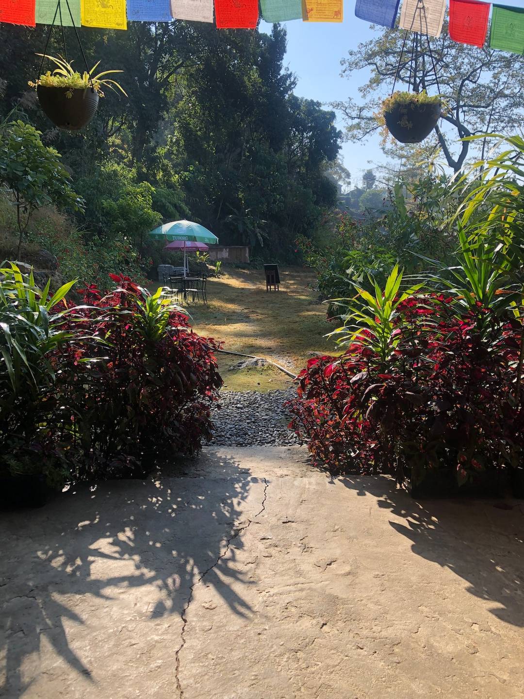 Cabin With Lakeview at Into The Wild Pokhara — photo