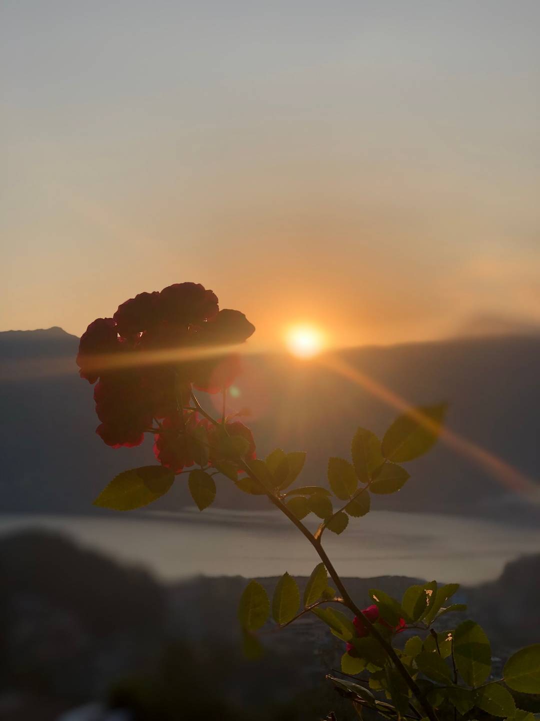 Cabin With Lakeview at Into The Wild Pokhara — photo