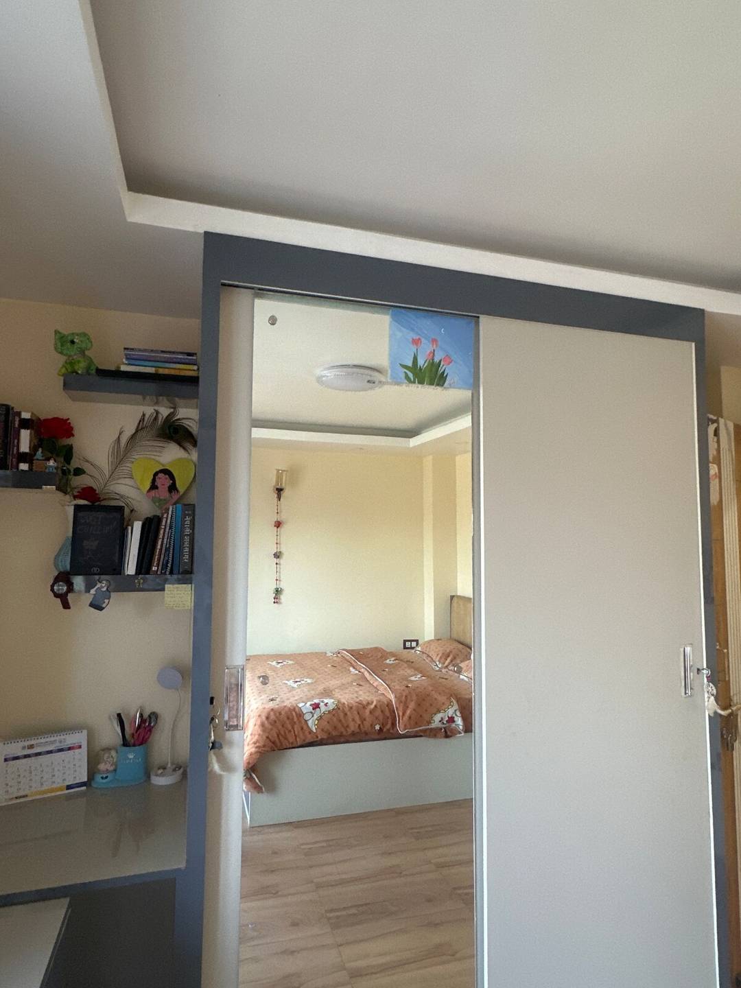 My home, your home — photo