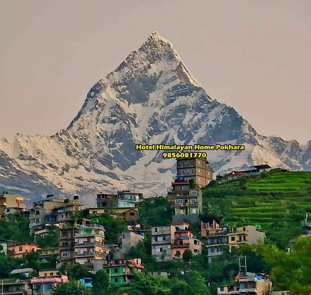 room in Pokhara Lamagaon mountain, valley, forest — photo