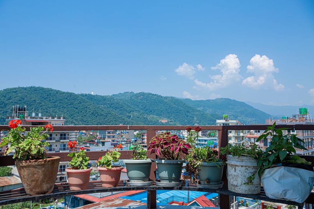 Subedi Apartment — photo