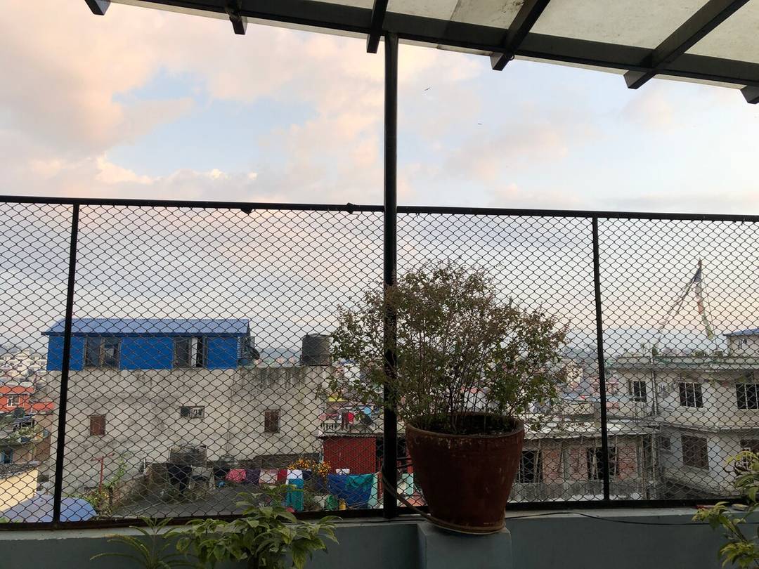 $10 — photo