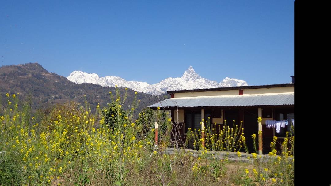 nature home methlang — photo