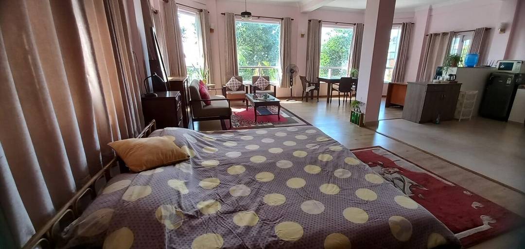Sunny studio basement apartment with garden/ patio — photo