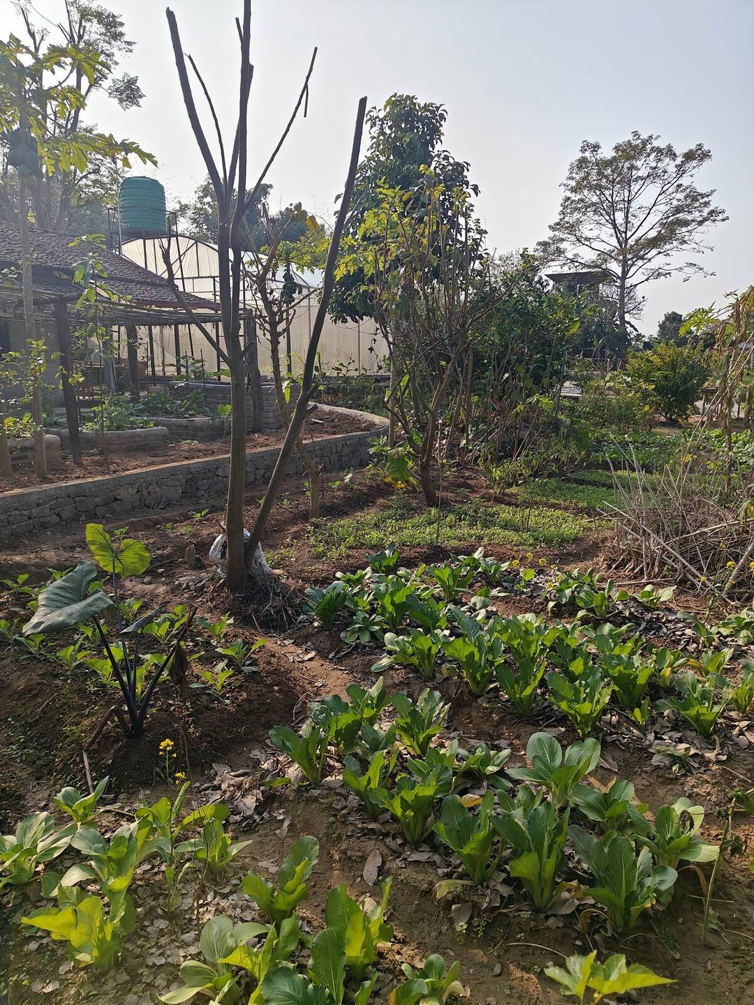 Inspiring Sustainable Living — photo