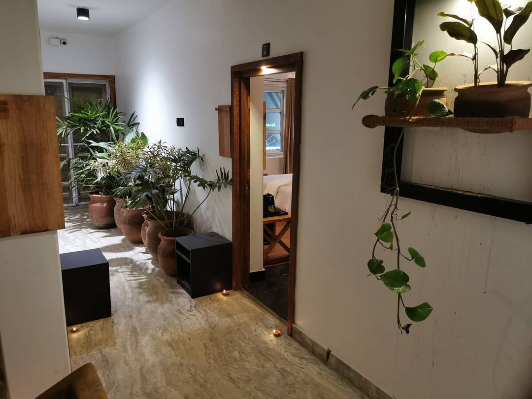 Studio (with fully equipped kitchen, private bath) — photo