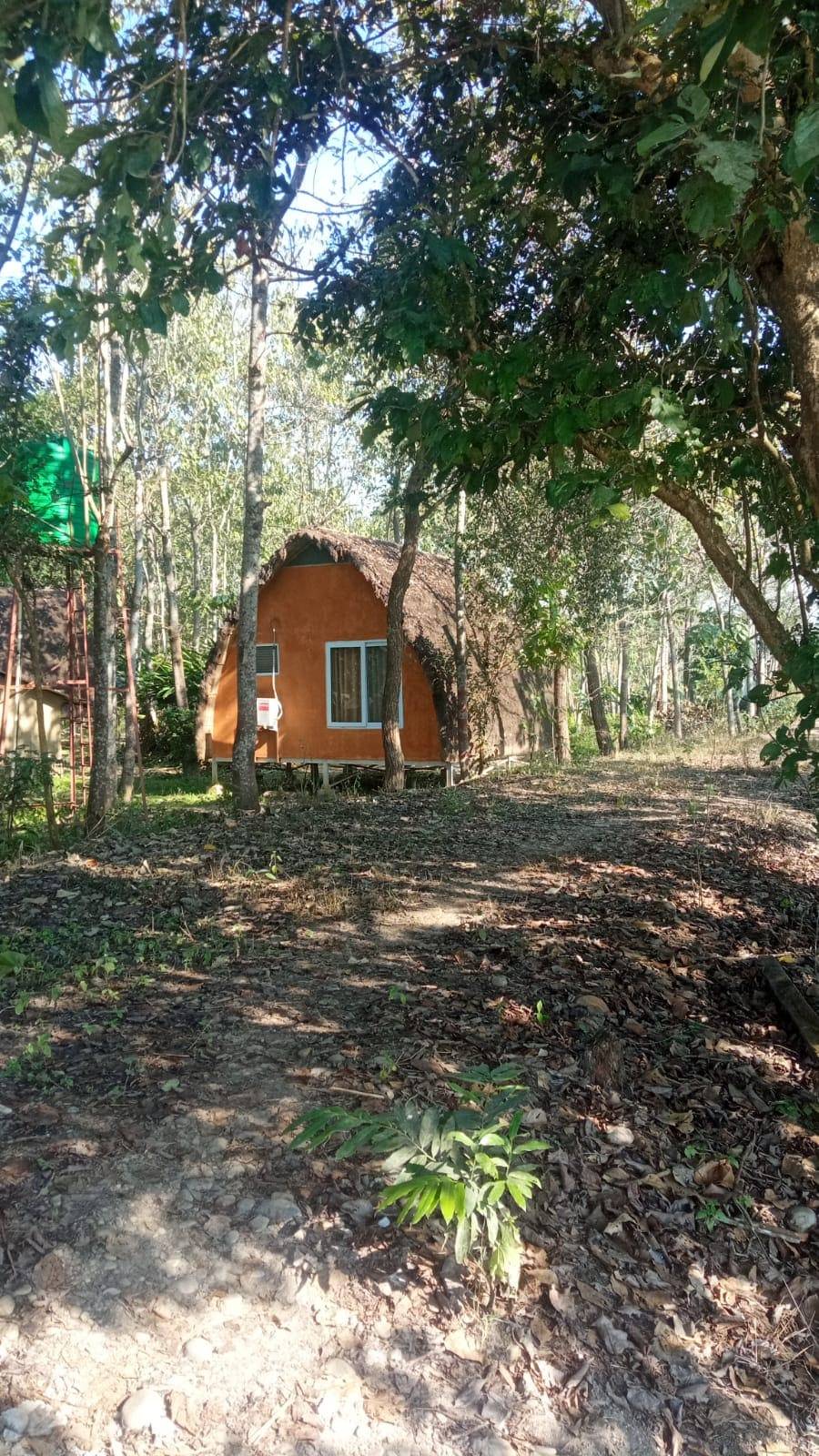 Paulownia Jungle Lodge is heaven on earth.