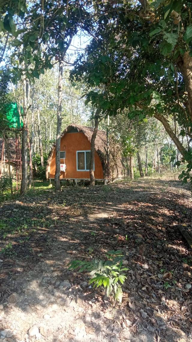 Paulownia Jungle Lodge is heaven on earth.