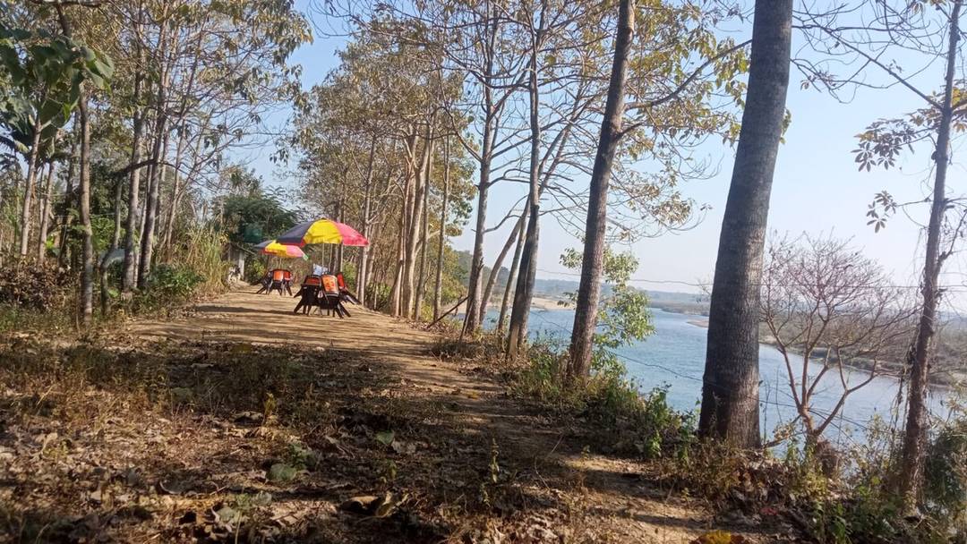 Paulownia Jungle Lodge is heaven on earth. — photo