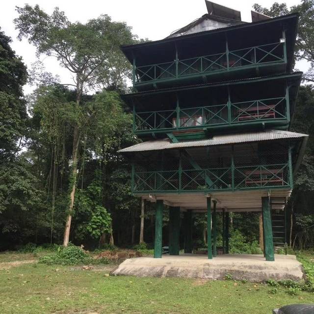 Comfort Rooms in Sauraha, Chitwan National Park