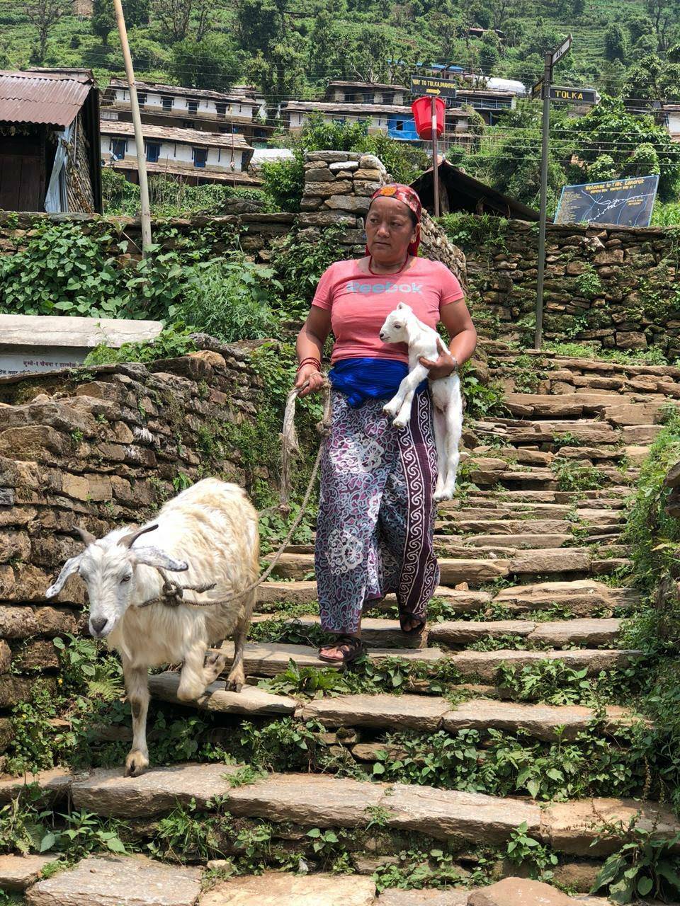Cultural experience; farm stay — photo