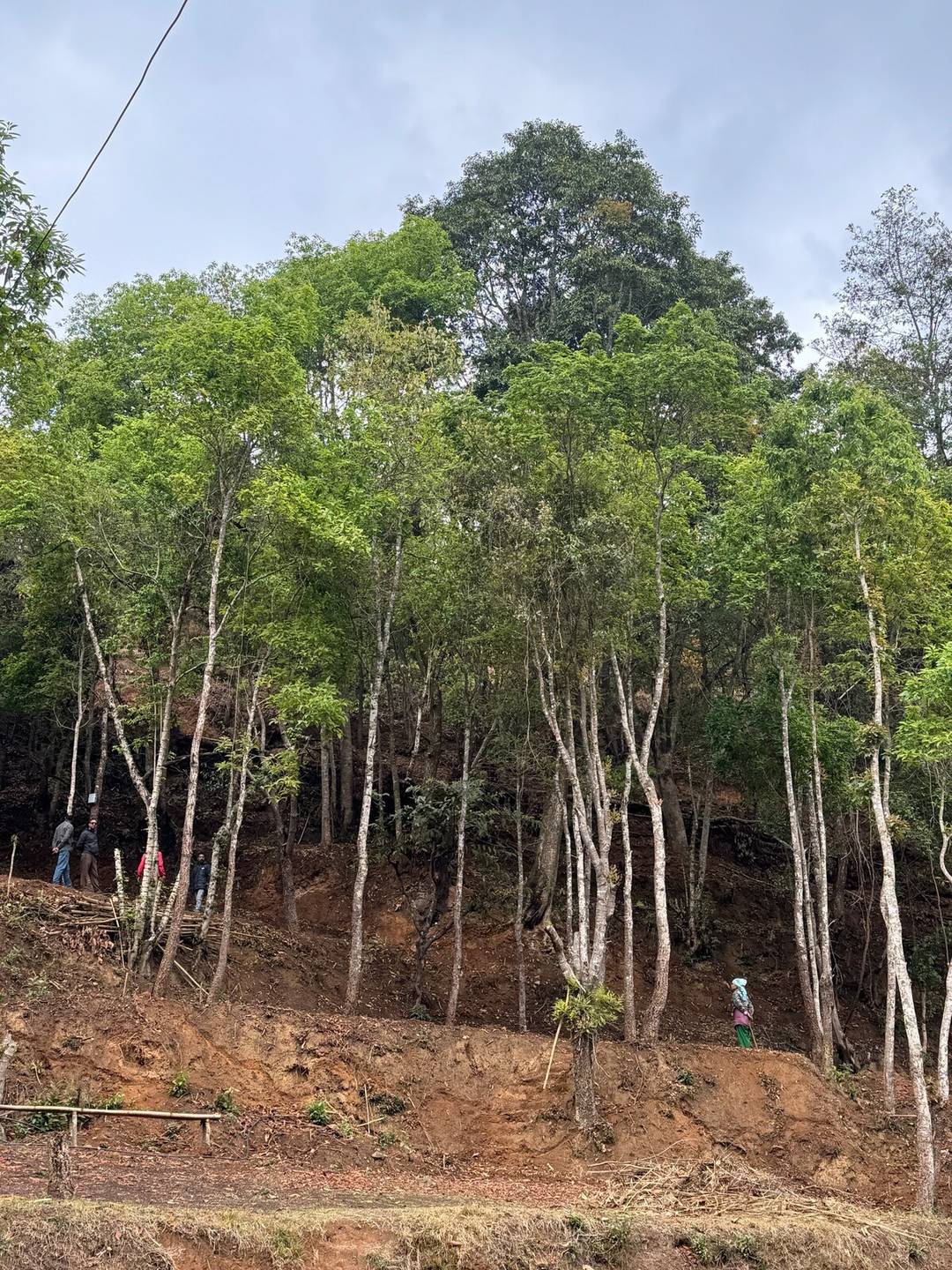 Gairigaun Eco (hiking&camping) — photo