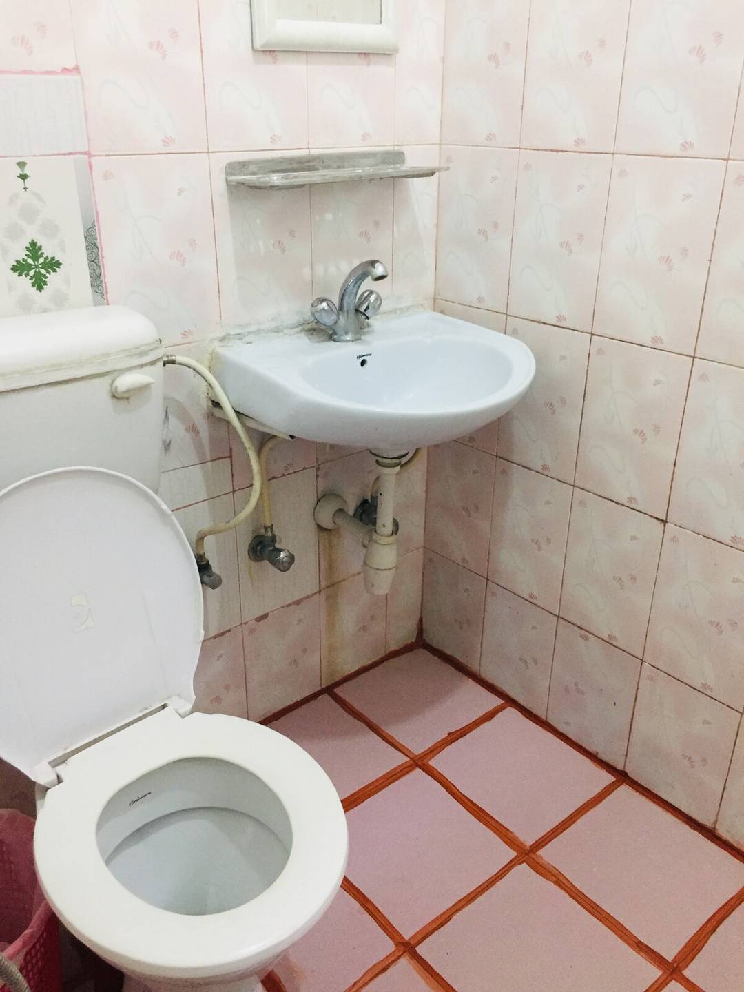 Green Home Apartment is for Rent — photo