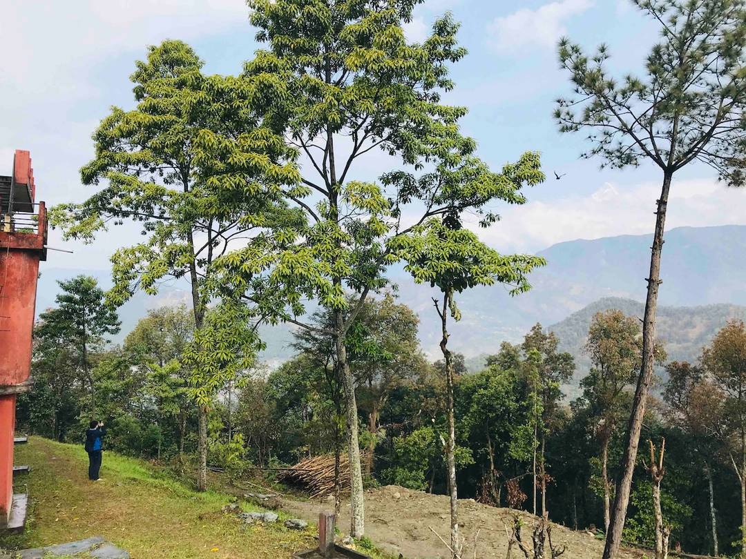 Nabina’s home stay