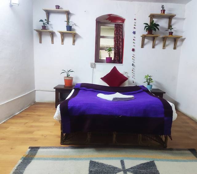 Pomelo Tree Room