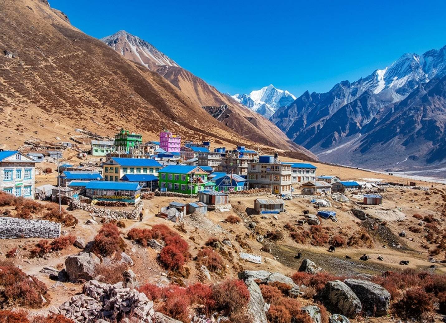 Kathmandu: 6-Day Limitless Langtang Guided Trek