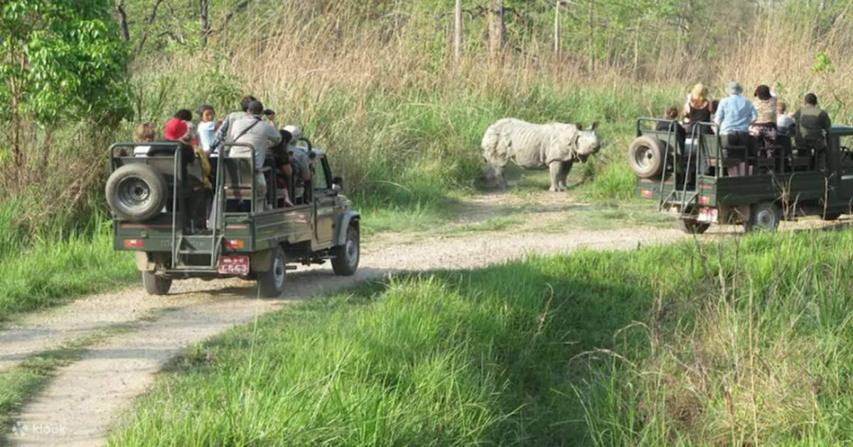 Kathmandu/Pokhara: 3 Days Chitwan Safari Tour By Car