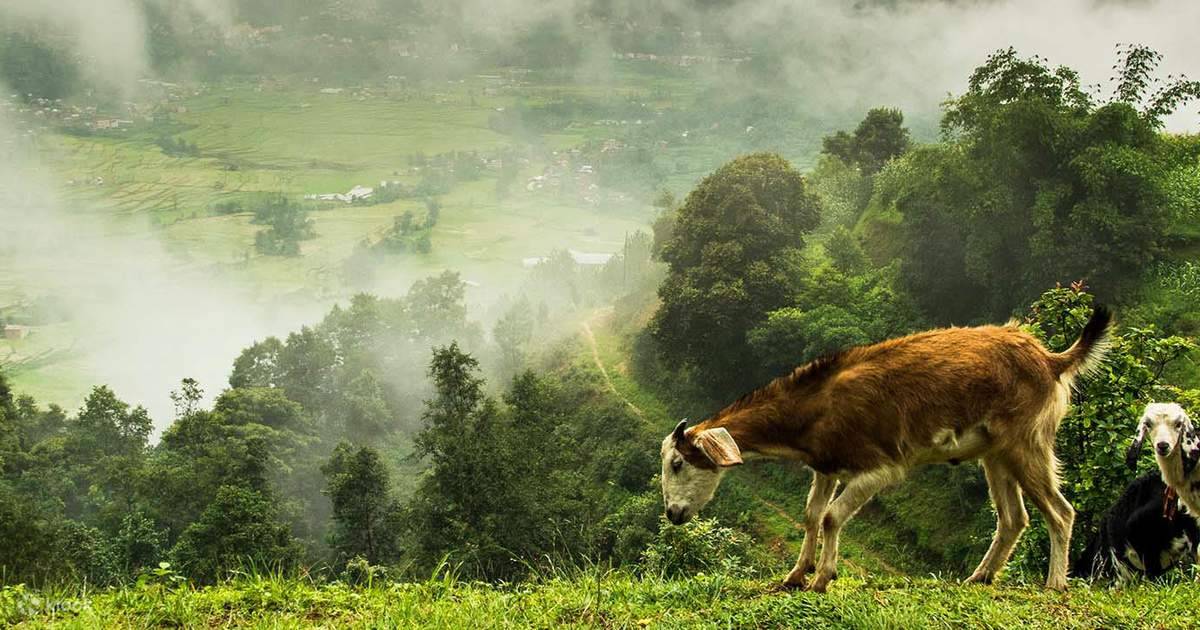 Nagarkot Day Hike