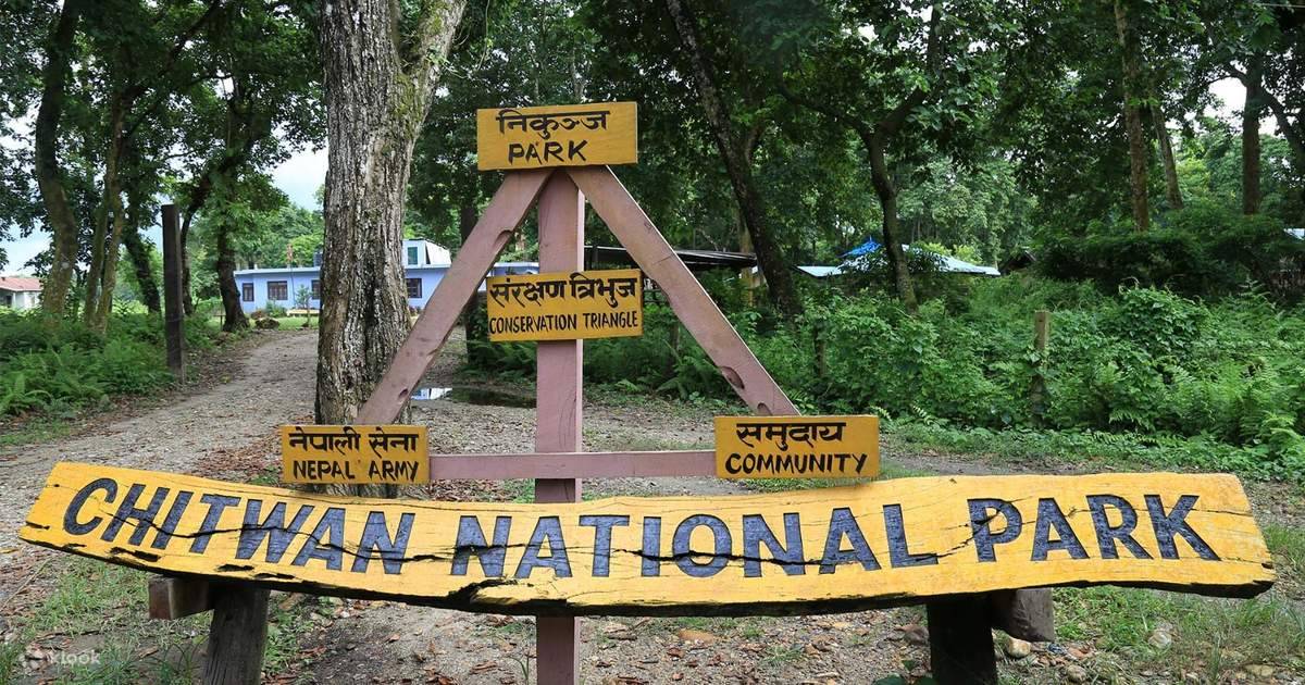 Chitwan National Park Tour from Pokhara