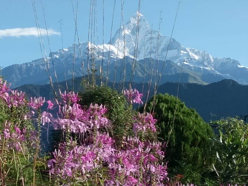 Pokhara: 3-Day Trek
