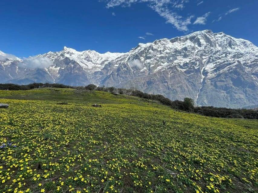 Pokhara: 7-Day Sikles and Namun La Pass Trek