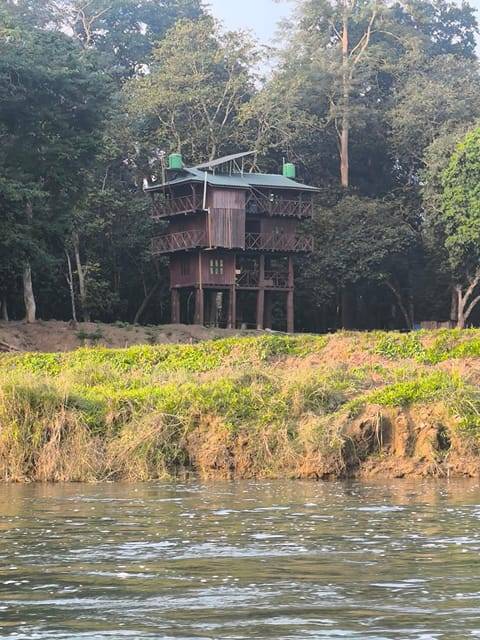 Chitwan: (1 Full Day) Canoeing/Jungle walk/ Night Tower Stay