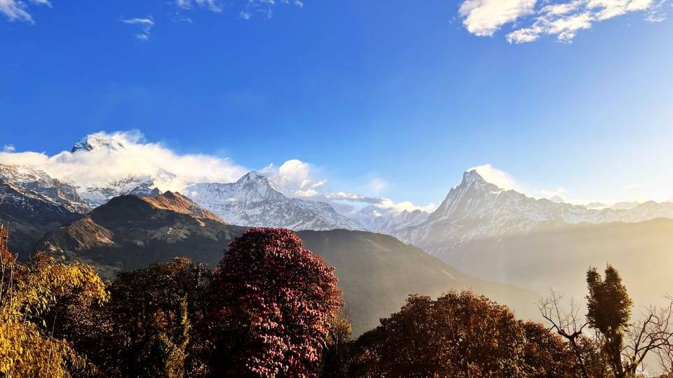 Annapurna: 8 Day Guided easy Trek at Annapurna