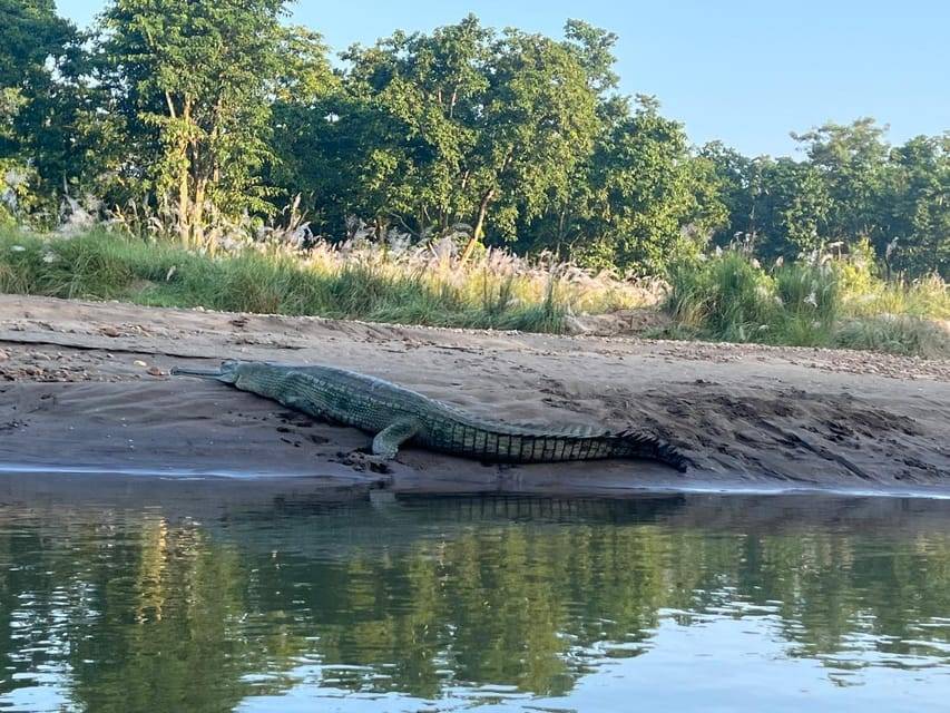 Chitwan National Park-2 night 3 days jungle safari