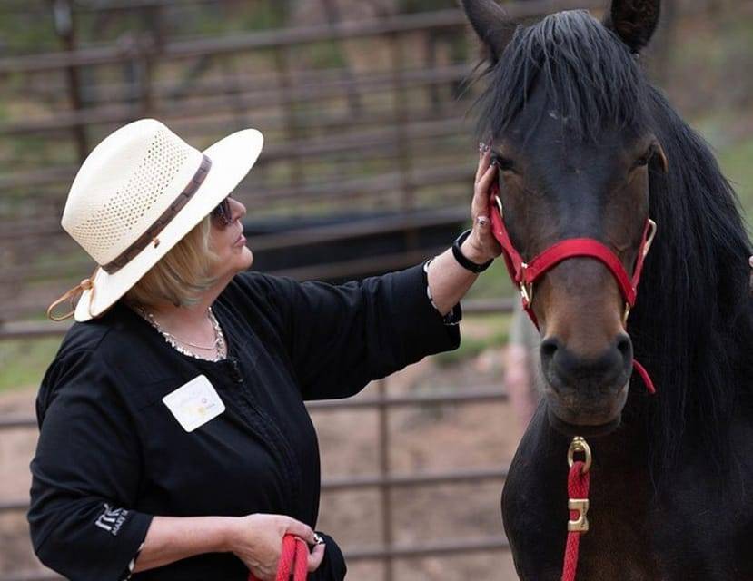 Colorado Springs: Mindfulness with Rescue Mustangs