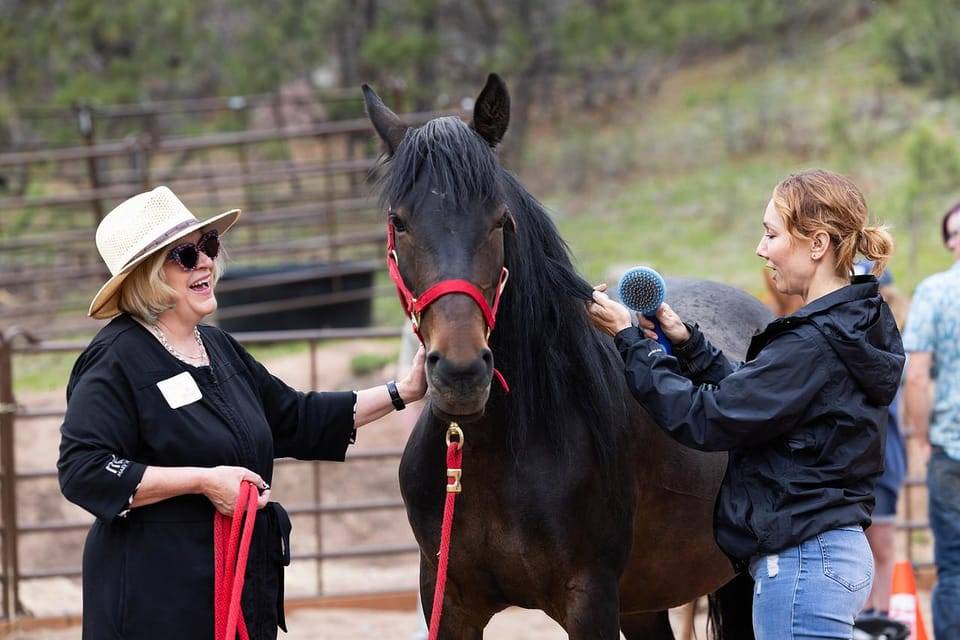 Florissant: Private Horse Experience with Rescue Mustangs
