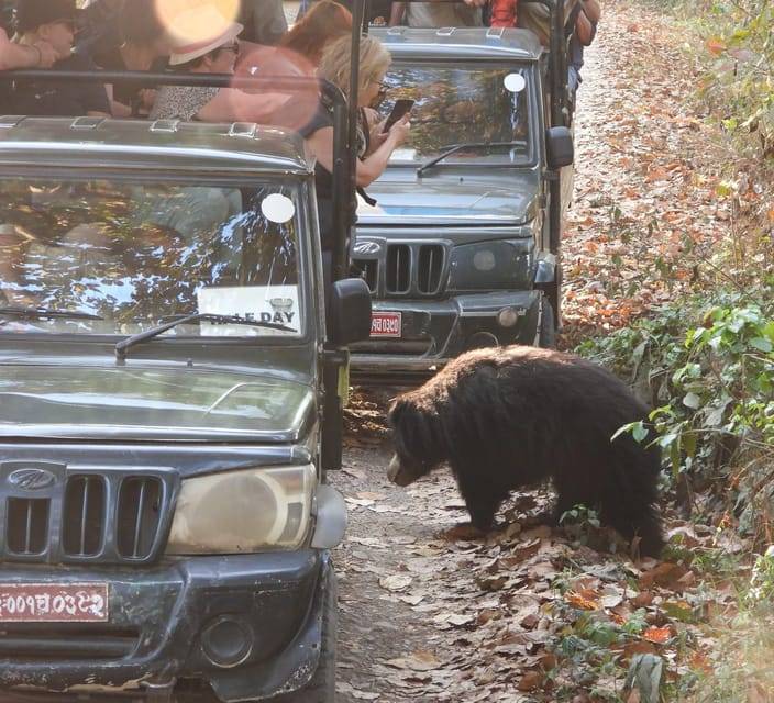 Chitwan: CANOEING & BIRDWATCHING & JEEP SAFARI