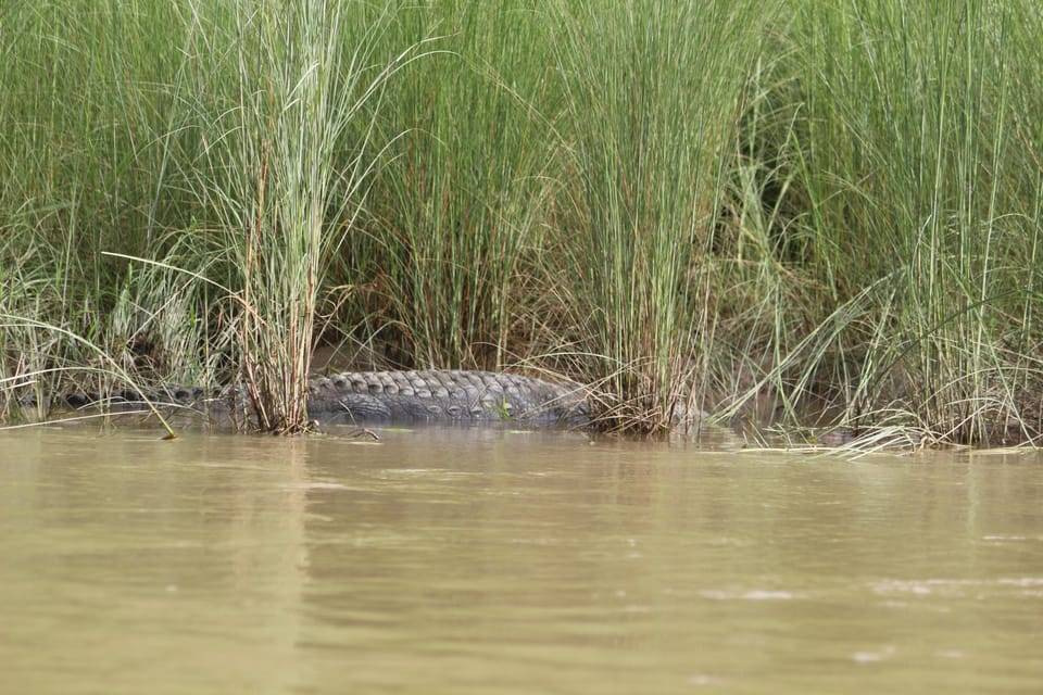 Kathmandu: Chitwan National Park & Lumbini 4-Day Tour