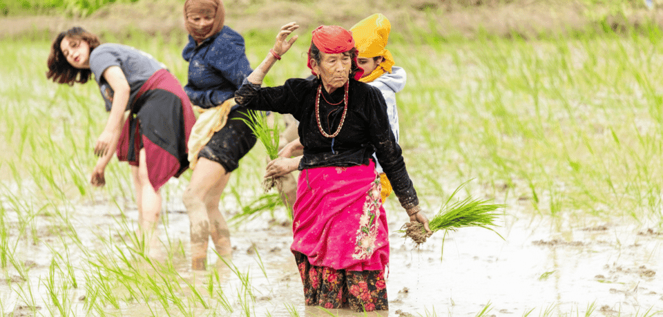 Kathmandu: Monsoon Magic! Eat, Explore, Capture the Rain