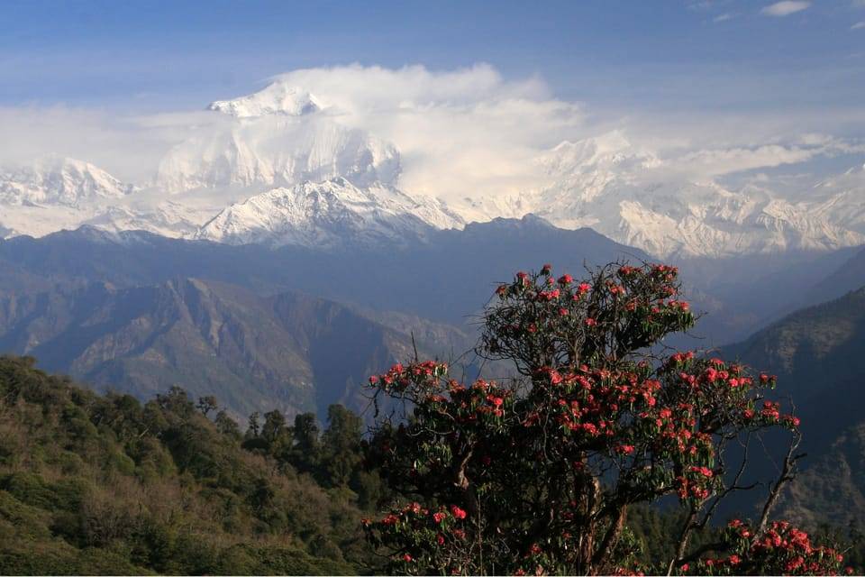 Pokhara: 2-Day Ghorepani Poon Hill Adventure