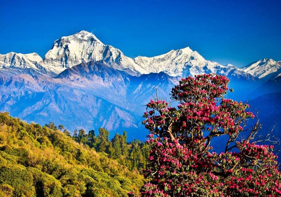 From Kathmandu: 5-Day Chisapani to Nagarkot Trek