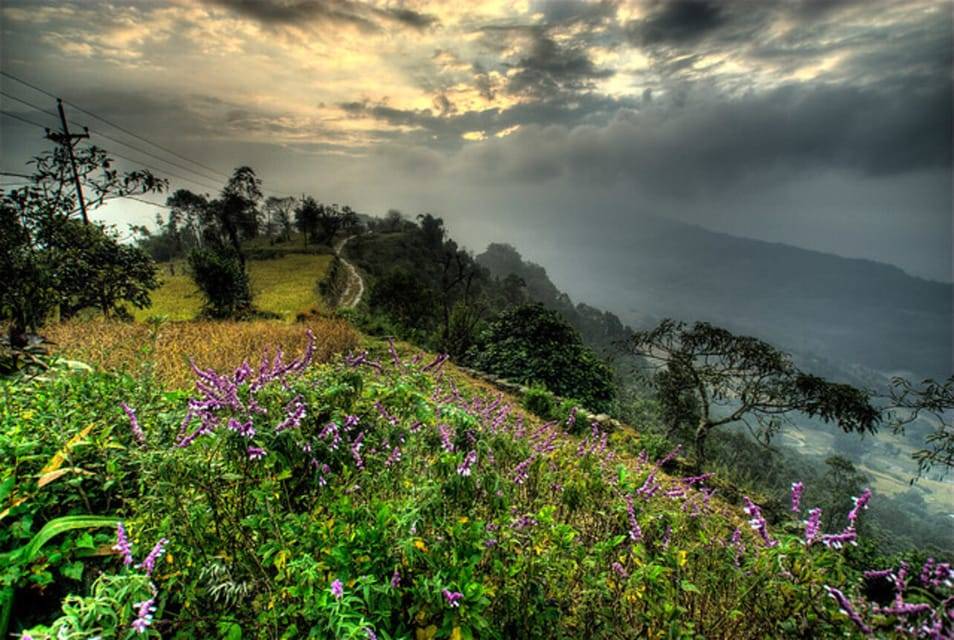 From Pokhara: 3 Day Dhampus-Sarangkot Trek