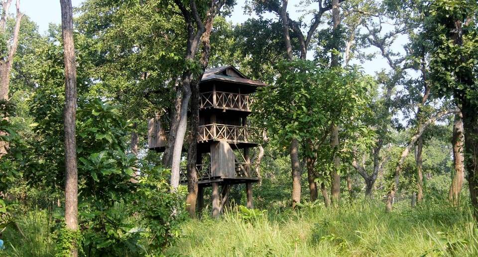 4 Days Chitwan Jungle Tour with 1 Night Jungle Tower stay