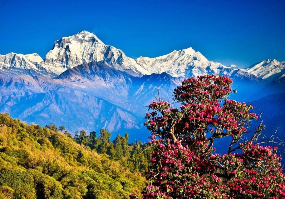 Pokhara: 2 days trek to Ghorepani Poon-Hill - Nepal