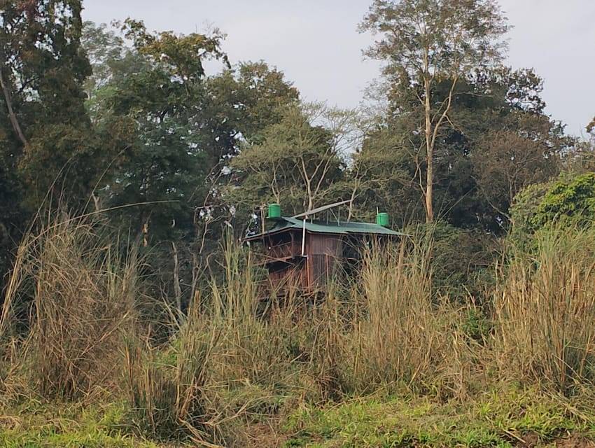 Chitwan: jungle One Night Towerstay in chitwan national park