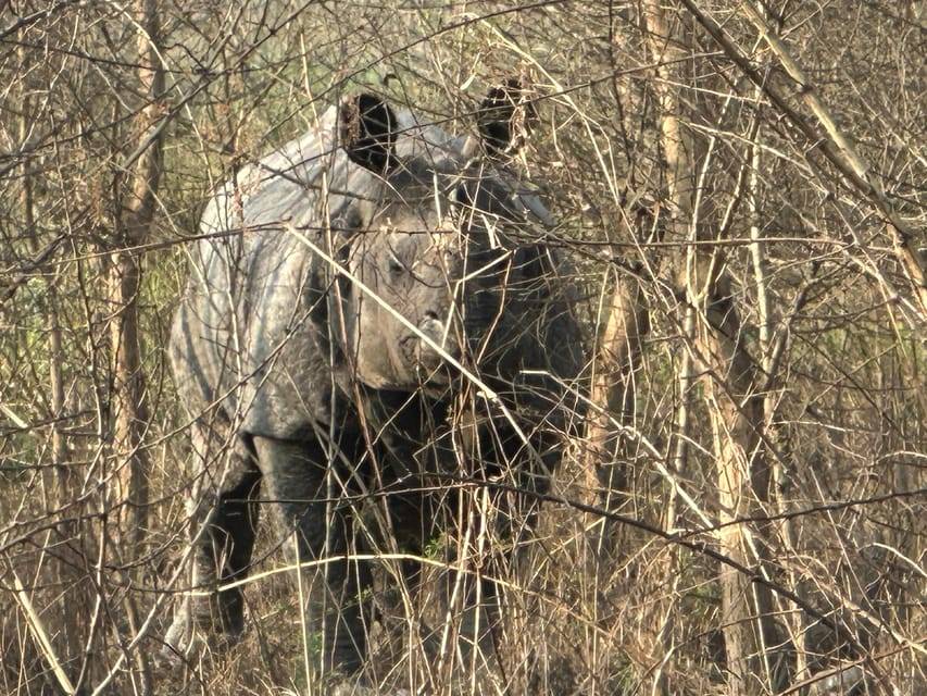 Chitwan Jungle Safari 3 Days- From Kathmandu or Pokhara