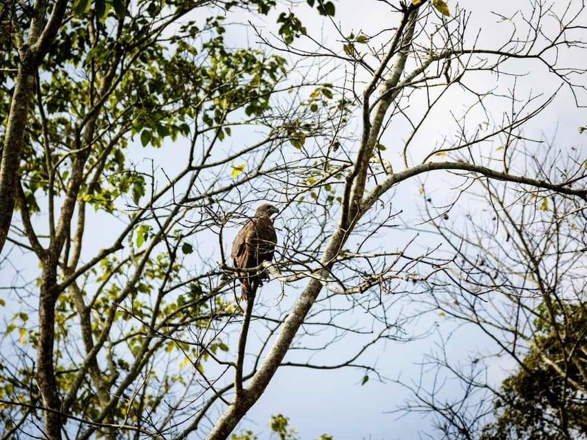 Chitwan Jungle Safari 3 Days – Wildlife & Culture